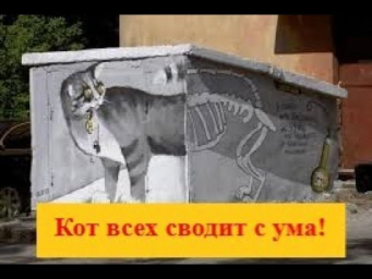 Вездесущий Кот Шрёдингера сводит с ума исследователей! Вездесущий Кот Шрёдингера сводит с ума исследователей!