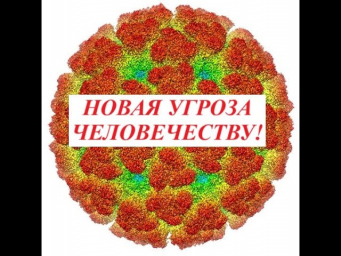 Вирус Чикунгунья – новая угроза человечеству. Существует ли вирус? Вирус Чикунгунья – новая угроза человечеству. Существует ли вирус?